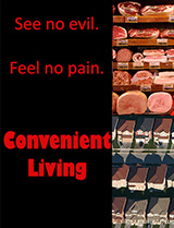 Convenient Living poster