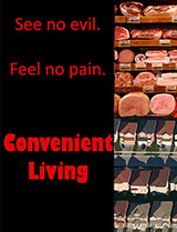 Convenient Living poster